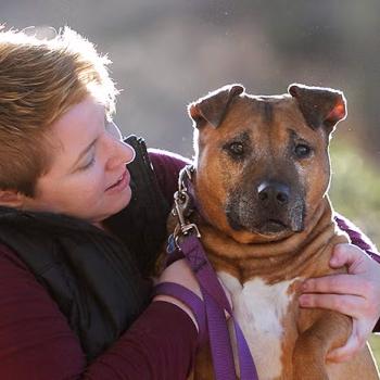 Woman giving hug to large brown and white dog