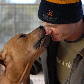 Man in winter hat getting kiss from large brown dog