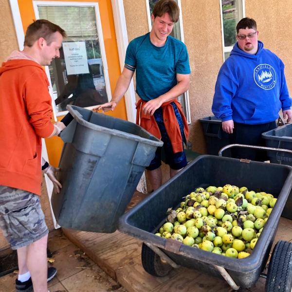 Volunteers loading apples into a cart for the animals in Horse Haven