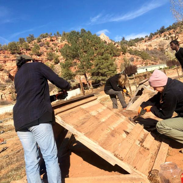 Volunteers making a ramp for enrichment for the goats