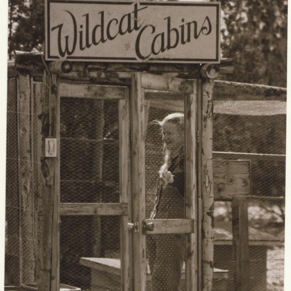 Co-Founder Diana Asher at the Wildcat Cabins for feral cats.