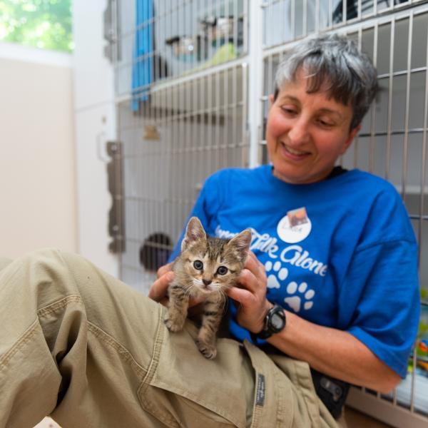 Smiling person sitting on the floor with a tabby kitten on the person's lap
