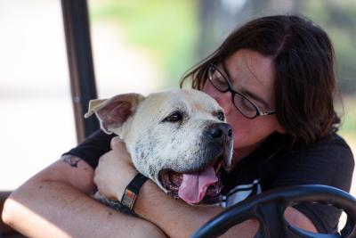 Person hugging a senior dog whose tongue is out