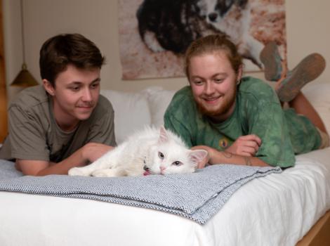 Zima the cat lying on a bed with her adopters