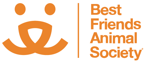 Best 金刚生态国际综合游戏彩票娱乐平台® Friends Animal Society - Save Them All