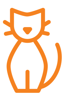 Cat sitting