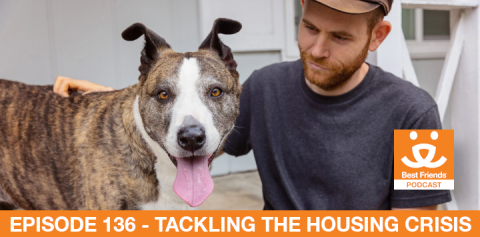 man sitting next to a large breed dog