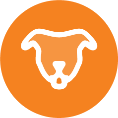 Faces of No-Kill icon