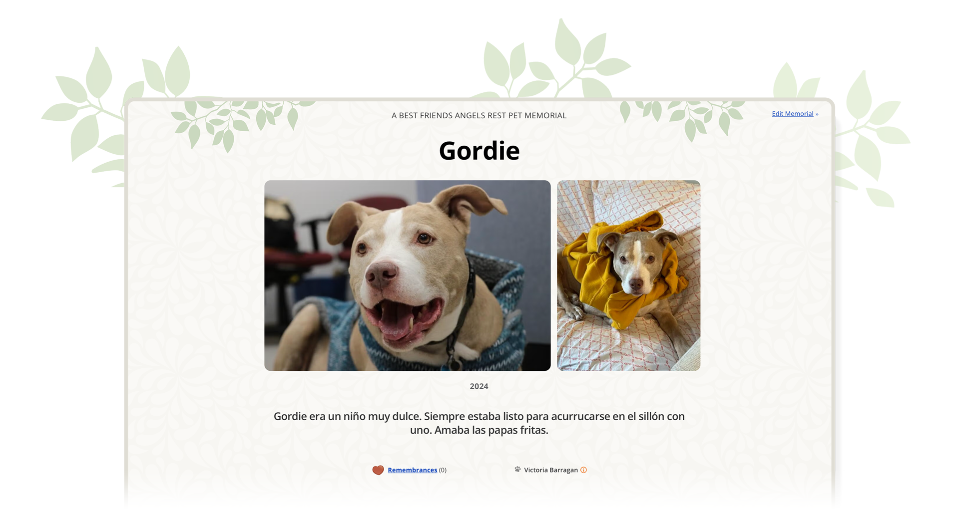 Ejemplo de homenaje a una mascota