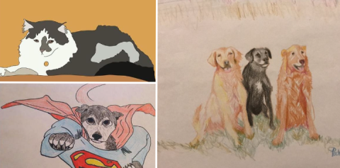 three different results from an animal welfare poorly drawn pets fundraiser